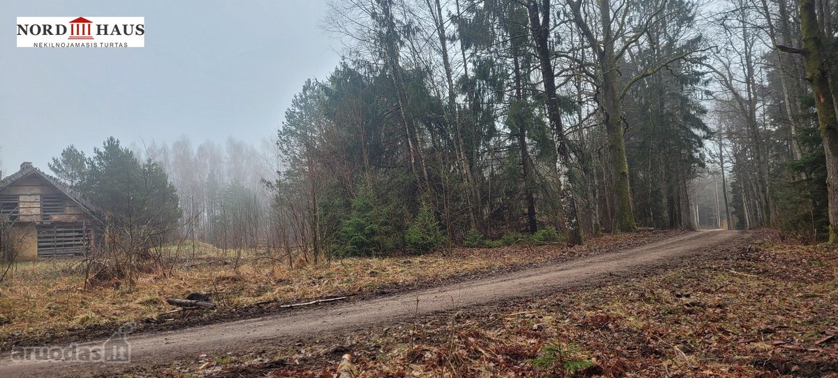Dėmesio ! Dar Sumažinome Kainą ( buvo 240 - nuotraukos Nr. 13