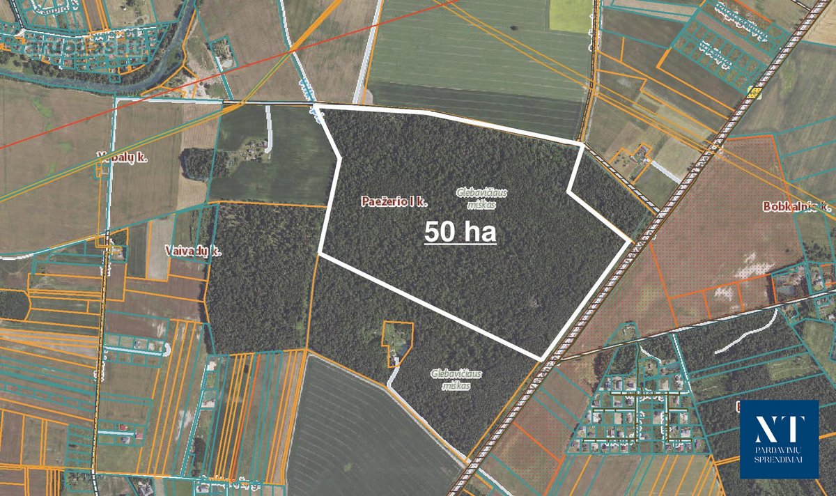 Parduodamas 50,10 ha miškų ūkio paskirties