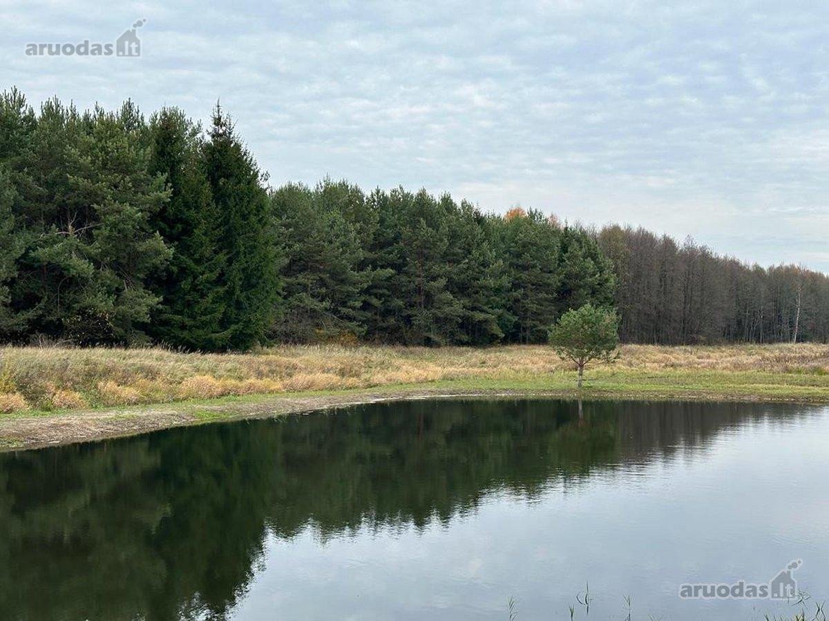 Parduodamas neįrengtas gyvenamasis namas - nuotraukos Nr. 10