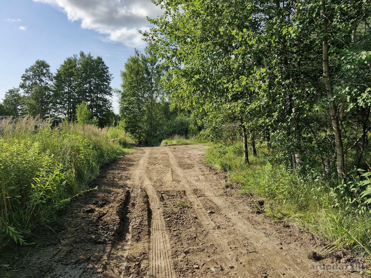 Parduodamas 50.74 arų žemės sklypas, - nuotraukos Nr. 8