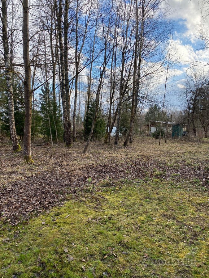 Parduodamas 12 arų sodų paskirties sklypas - nuotraukos Nr. 5