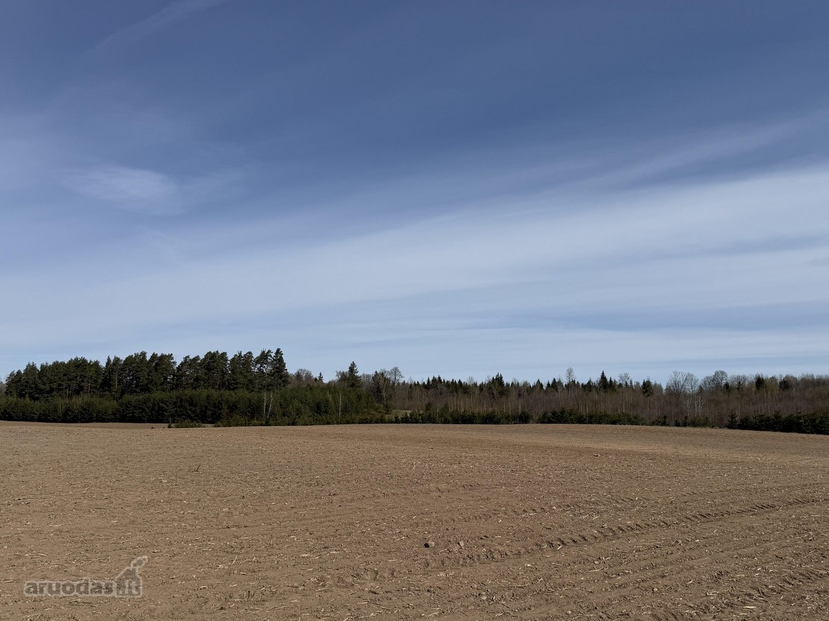 Trakų raj., Bijūnų km. parduodamas 302 arų - nuotraukos Nr. 6