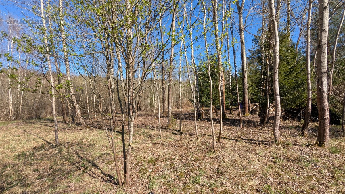Parduodamas 12 arų sodų paskirties sklypas - nuotraukos Nr. 4