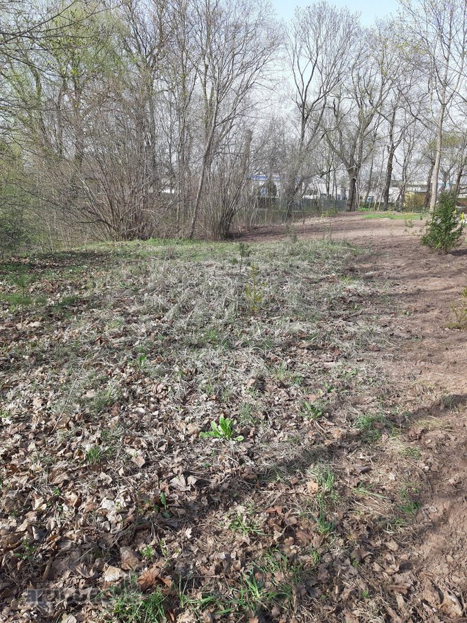 Parduodamas 23,03 arų namų valdos žemės - nuotraukos Nr. 4