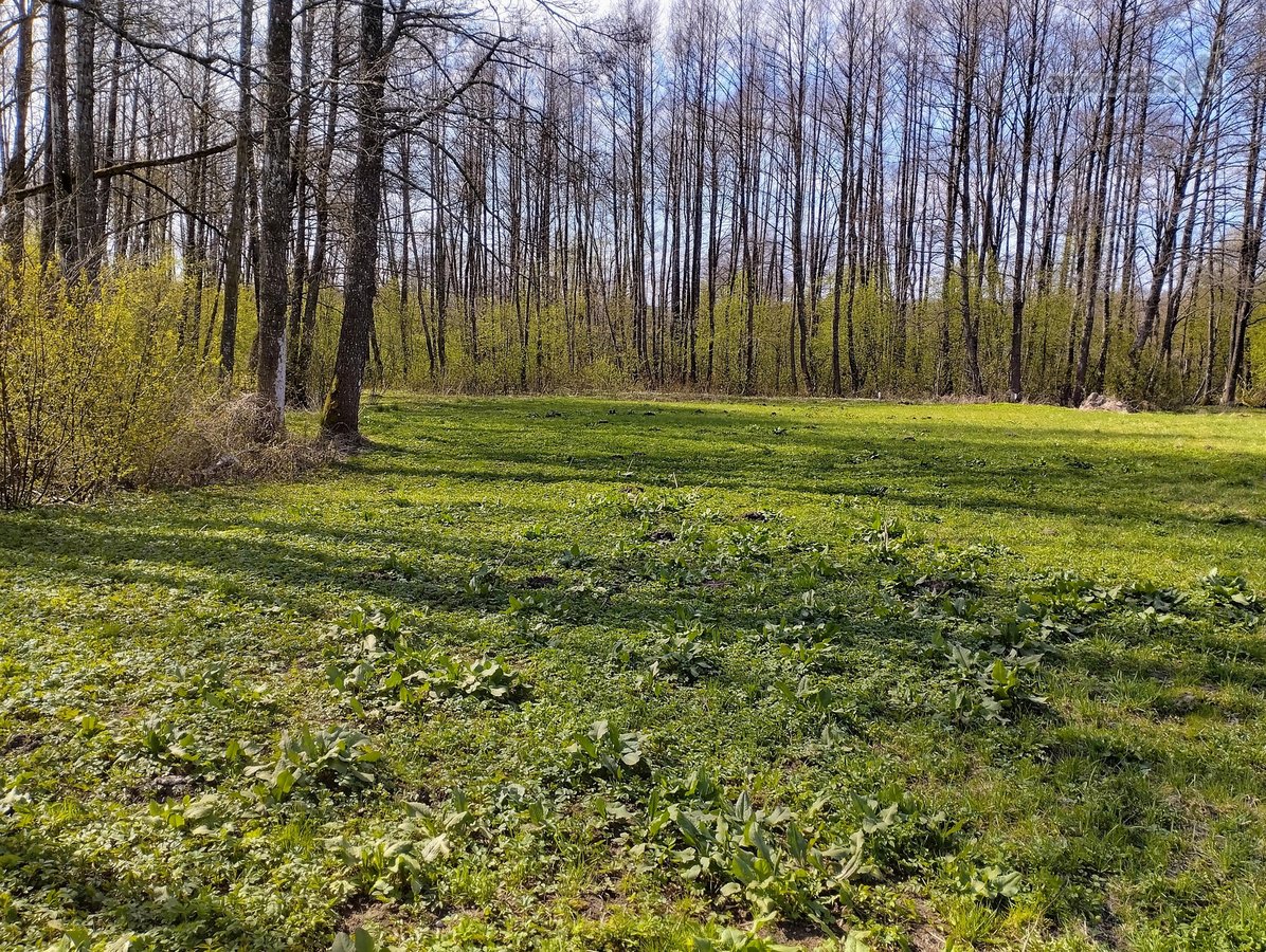 Parduodamas Žemės Sklypas Vilniaus Rajone