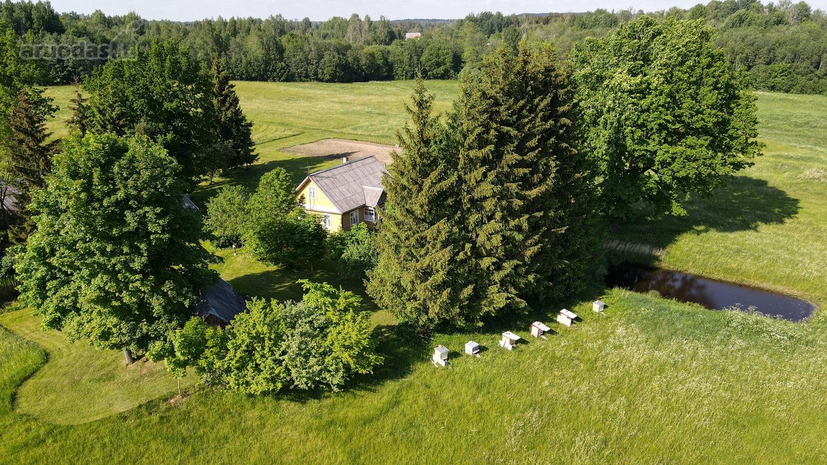 Utenos rajone, Tauragnų sen., Pilkenių kaime - nuotraukos Nr. 14