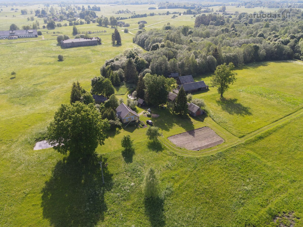 Utenos rajone, Tauragnų sen., Pilkenių kaime - nuotraukos Nr. 22