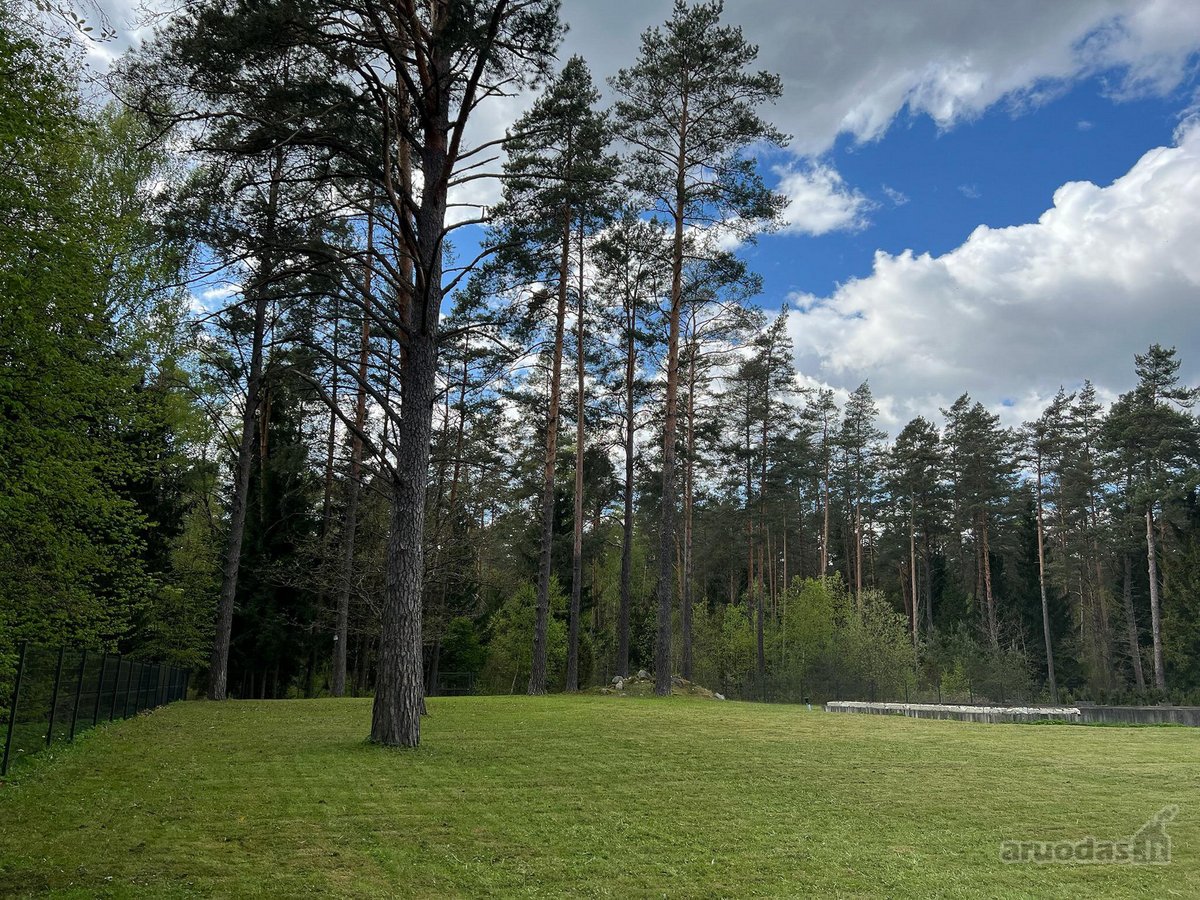 Sklypas yra susiformavusioje, uždaroje - nuotraukos Nr. 6