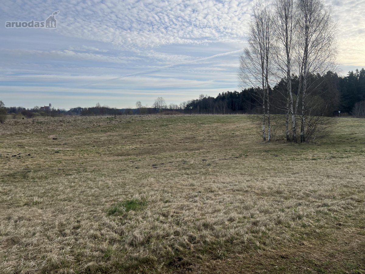 Parduodamas 0.953 ha žemės ūkio paskirties
