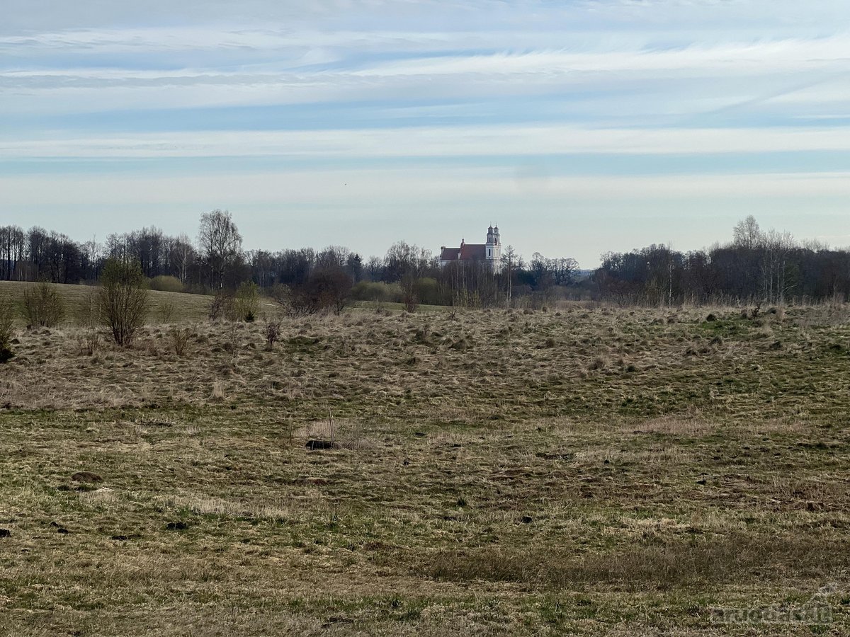 Parduodamas 0.953 ha žemės ūkio paskirties - nuotraukos Nr. 3