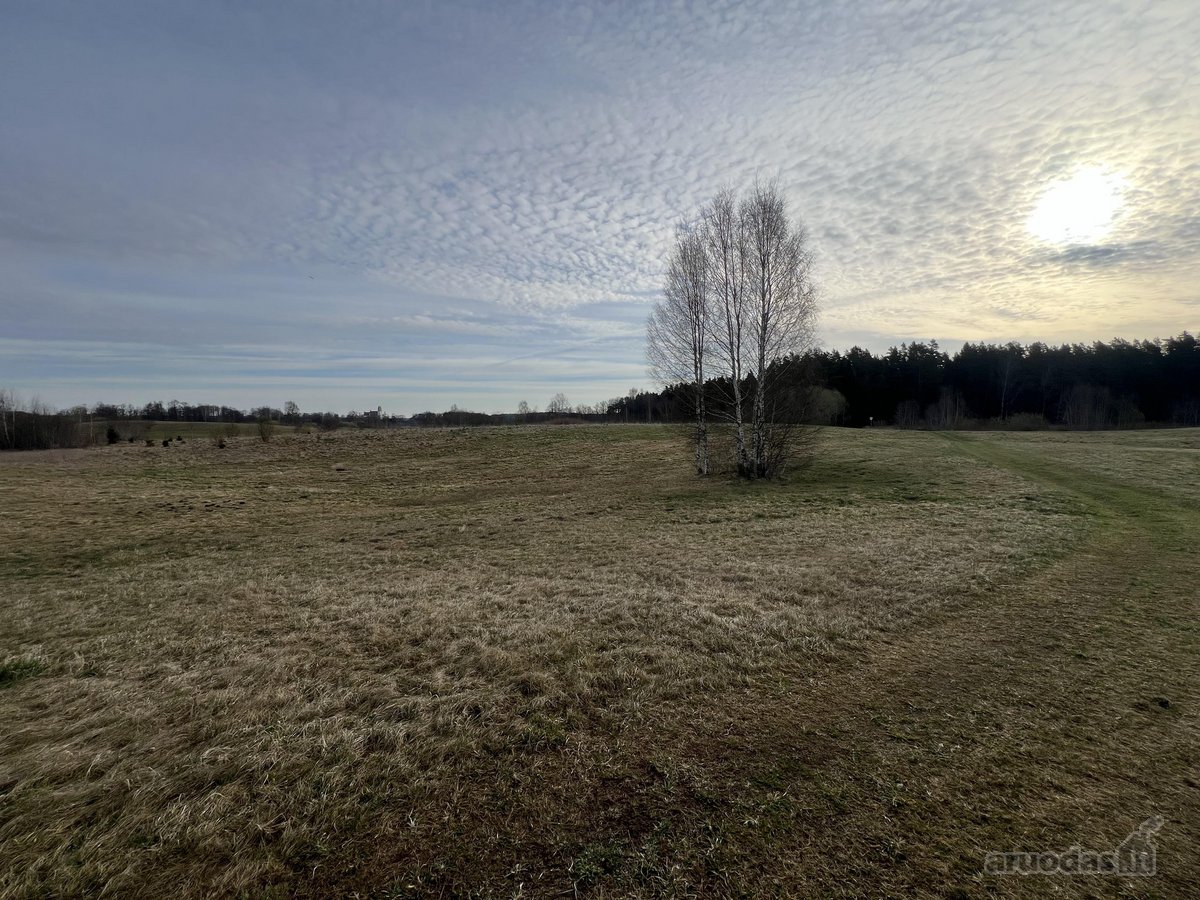 Parduodamas 0.953 ha žemės ūkio paskirties - nuotraukos Nr. 4