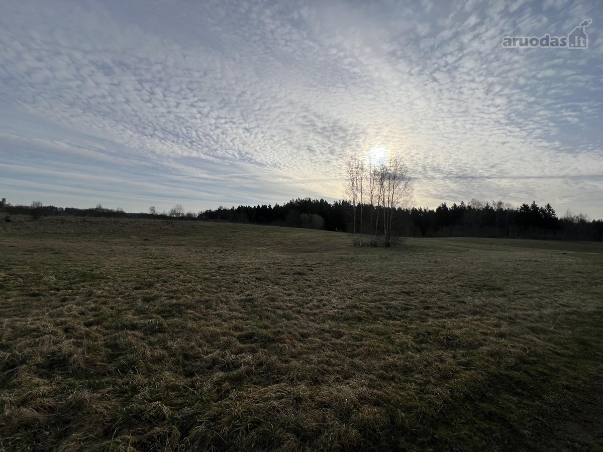 Parduodamas 0.953 ha žemės ūkio paskirties - nuotraukos Nr. 5