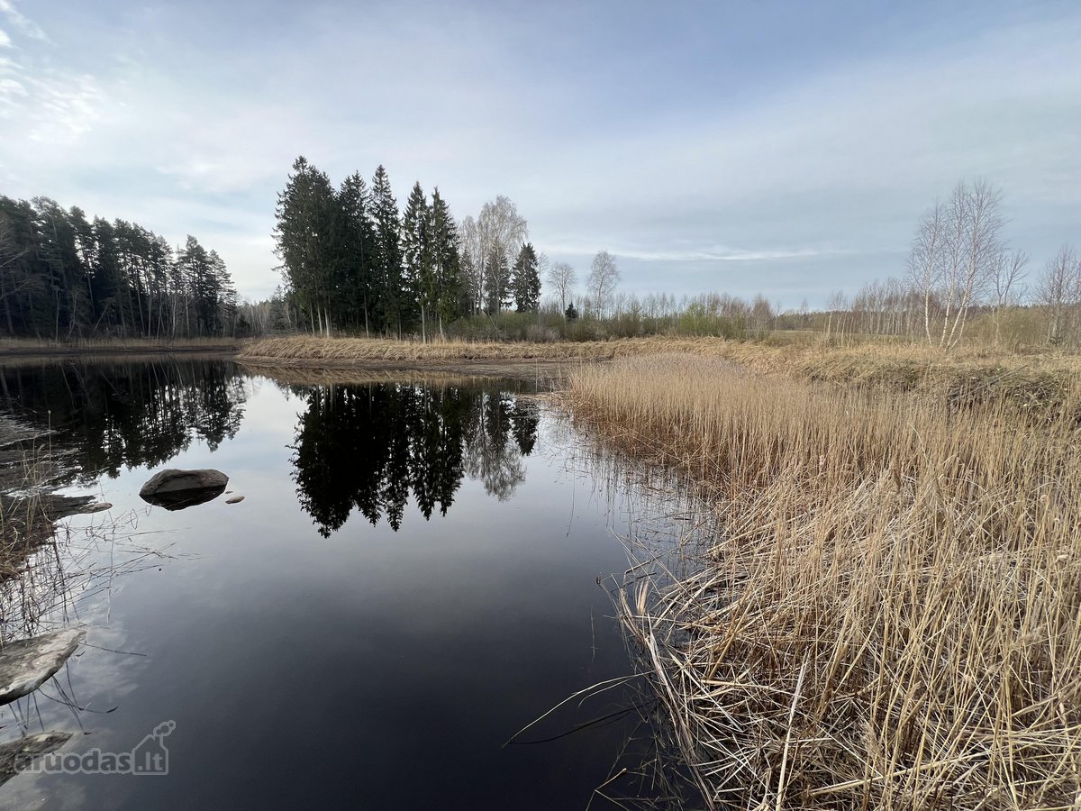 Parduodamas 0.953 ha žemės ūkio paskirties - nuotraukos Nr. 6