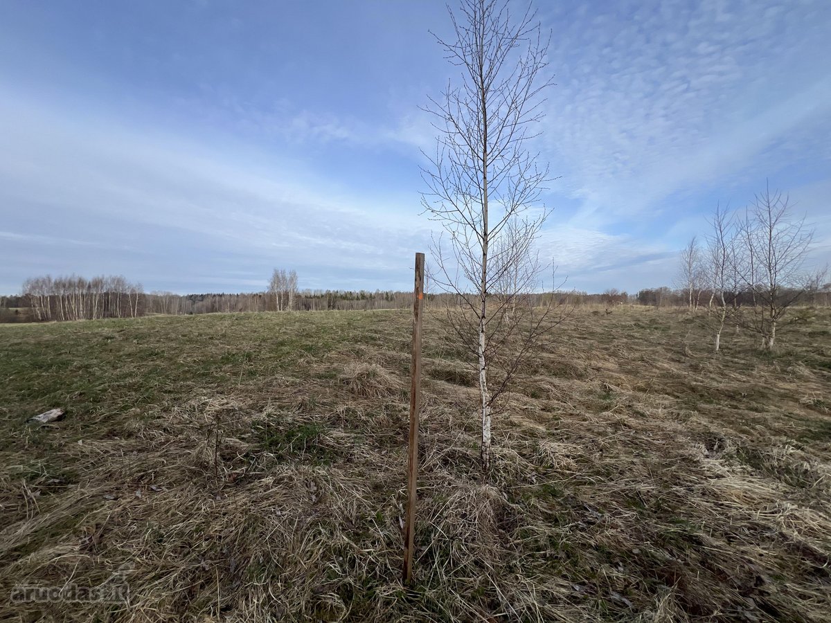 Parduodamas 0.953 ha žemės ūkio paskirties - nuotraukos Nr. 10