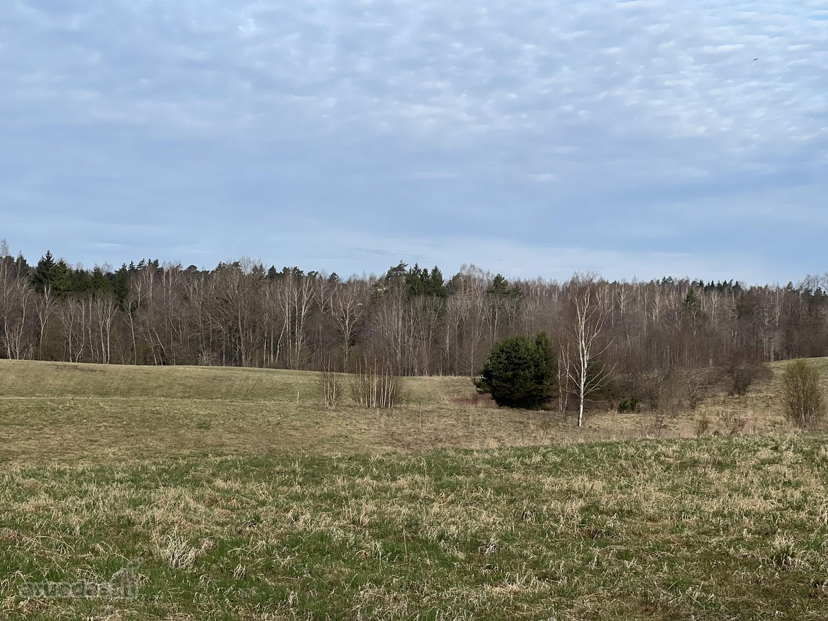 Parduodamas 0.953 ha žemės ūkio paskirties - nuotraukos Nr. 11