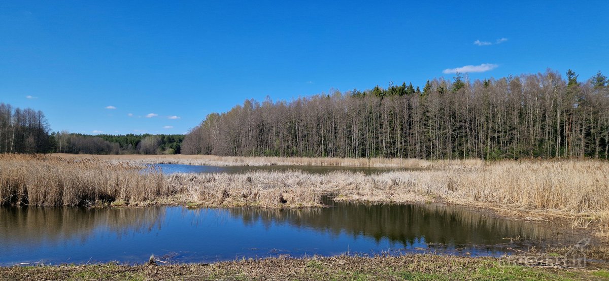 Parduodamas namų valdos sklypas Ignalinos raj - nuotraukos Nr. 16