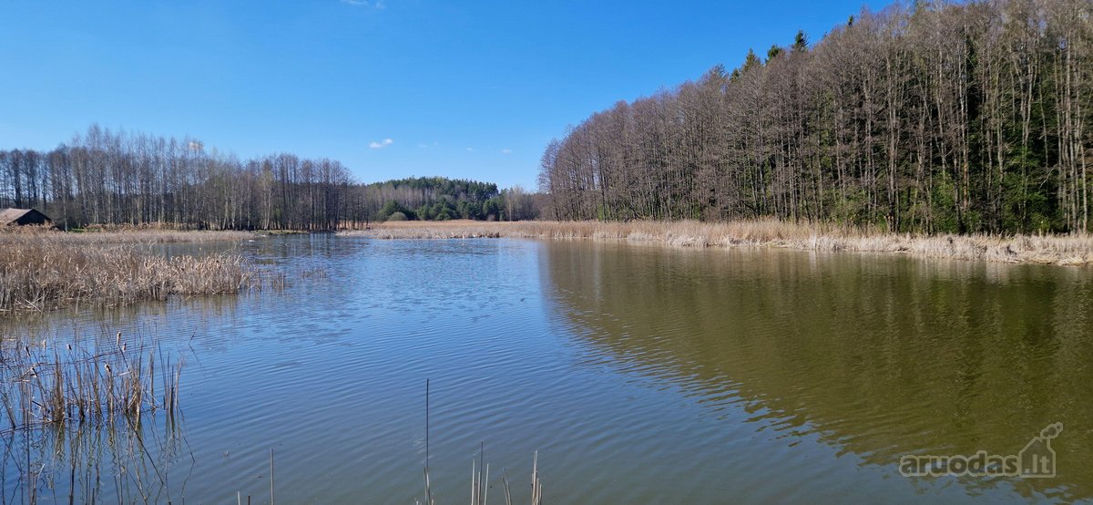 Parduodamas namų valdos sklypas Ignalinos raj