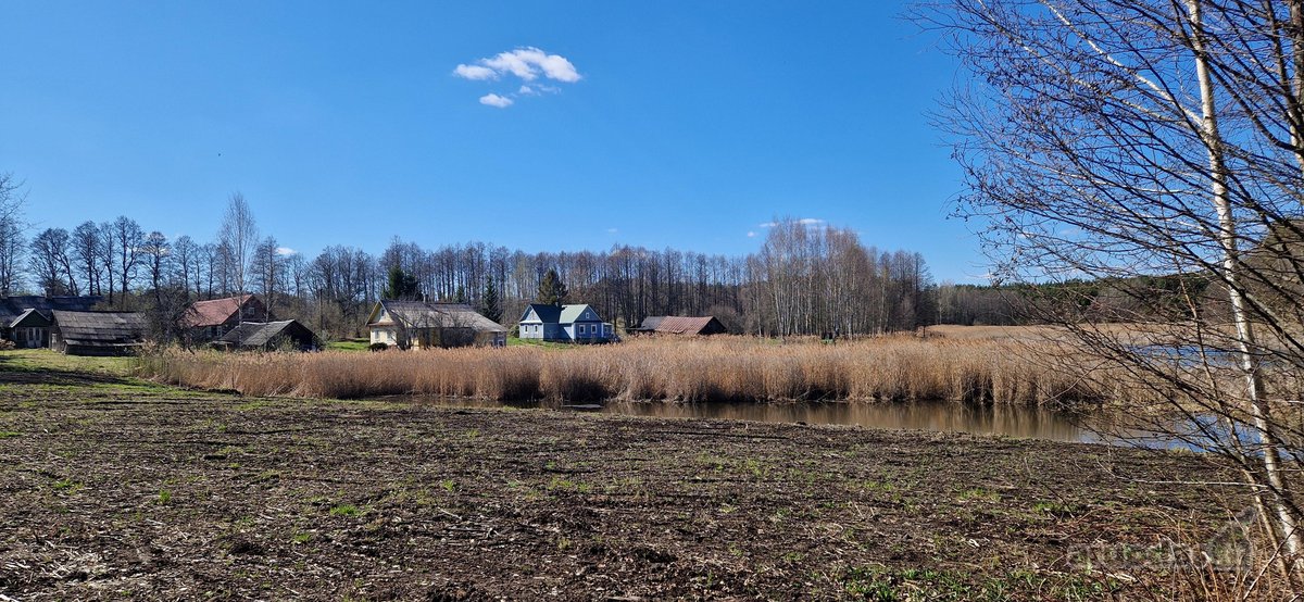 Parduodamas namų valdos sklypas Ignalinos raj - nuotraukos Nr. 29