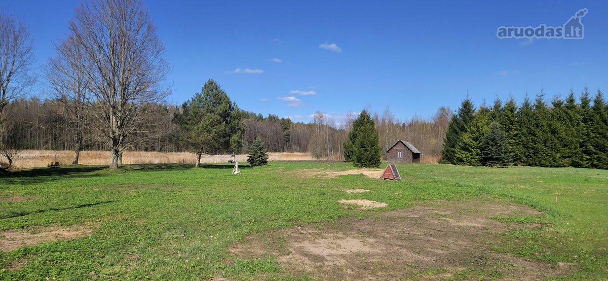 Parduodamas namų valdos sklypas Ignalinos raj - nuotraukos Nr. 23
