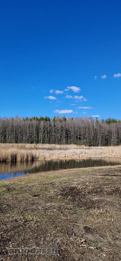 Parduodamas namų valdos sklypas Ignalinos raj - nuotraukos Nr. 18