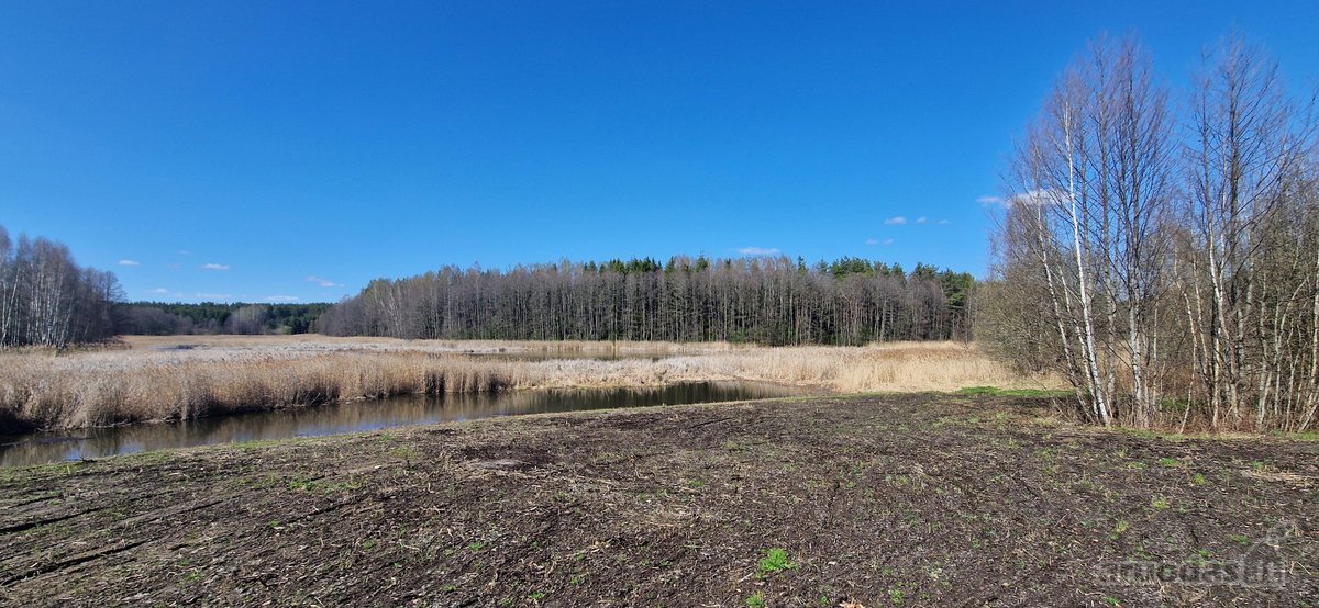 Parduodamas namų valdos sklypas Ignalinos raj - nuotraukos Nr. 17
