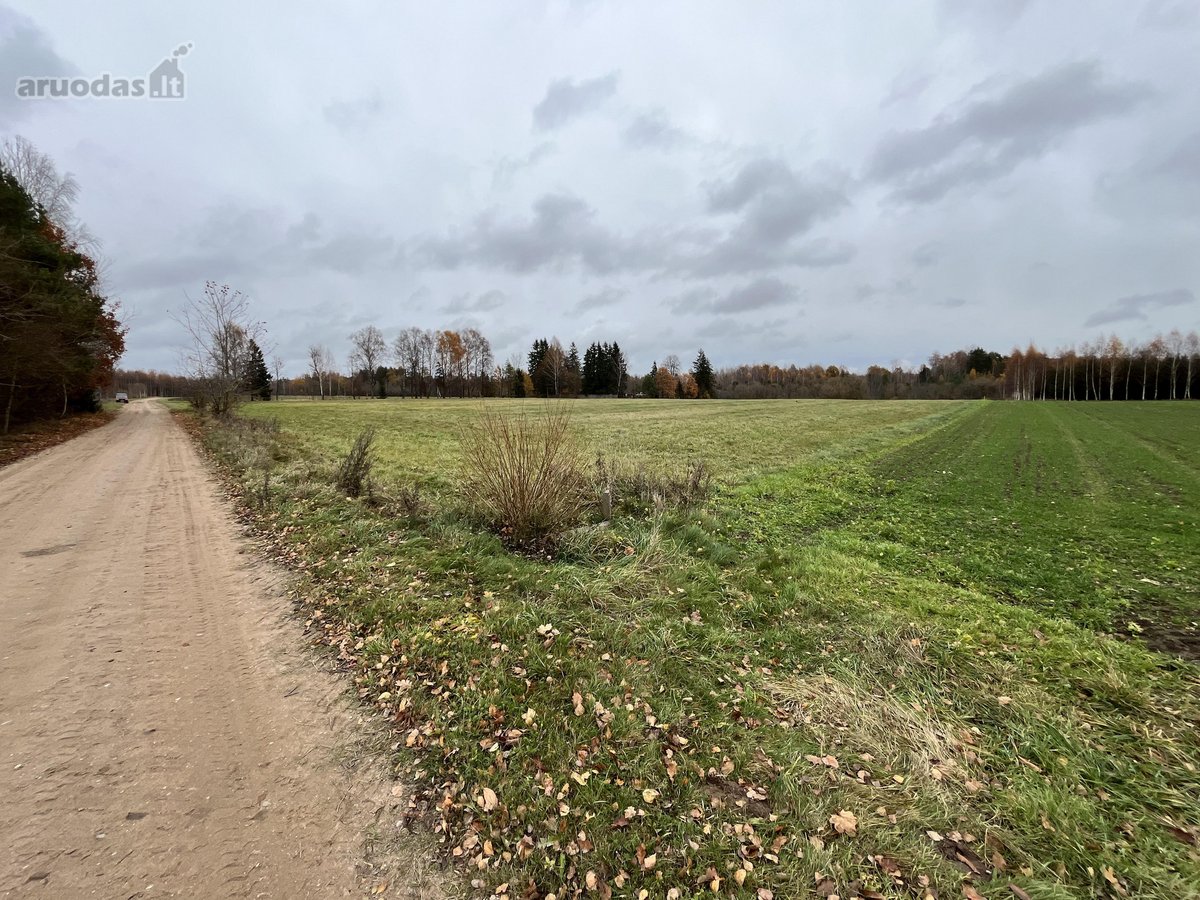 Parduodama ramioje gražioje vietoje Gailaičių - nuotraukos Nr. 29