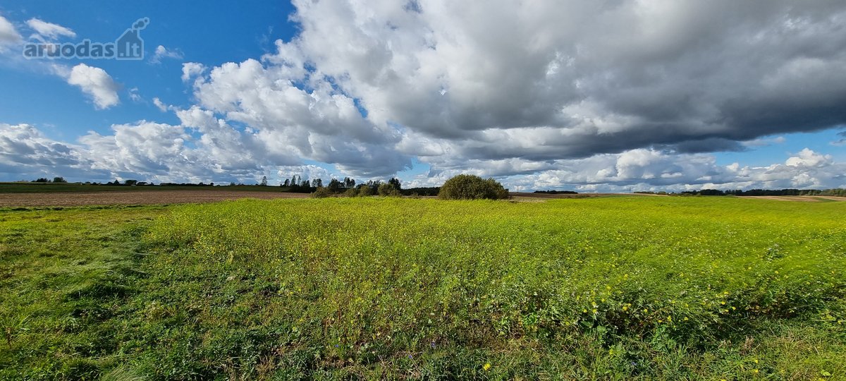 Derlingas Žū pask. sklypas 1,1 ha - nuotraukos Nr. 10