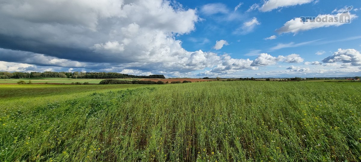 Derlingas Žū pask. sklypas 1,1 ha - nuotraukos Nr. 11