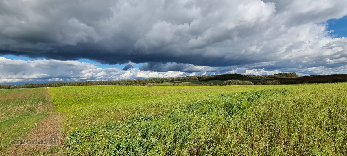 Derlingas Žū pask. sklypas 1,1 ha - nuotraukos Nr. 13