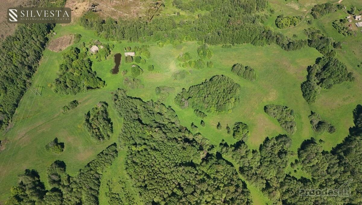 Parduodamas Sklypas 58 Ha Žemės Ir Tvenkiniu, - nuotraukos Nr. 7