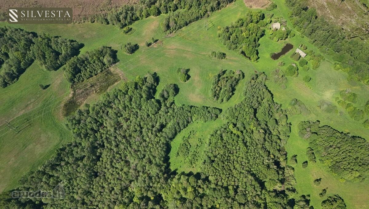 Parduodamas Sklypas 58 Ha Žemės Ir Tvenkiniu, - nuotraukos Nr. 8