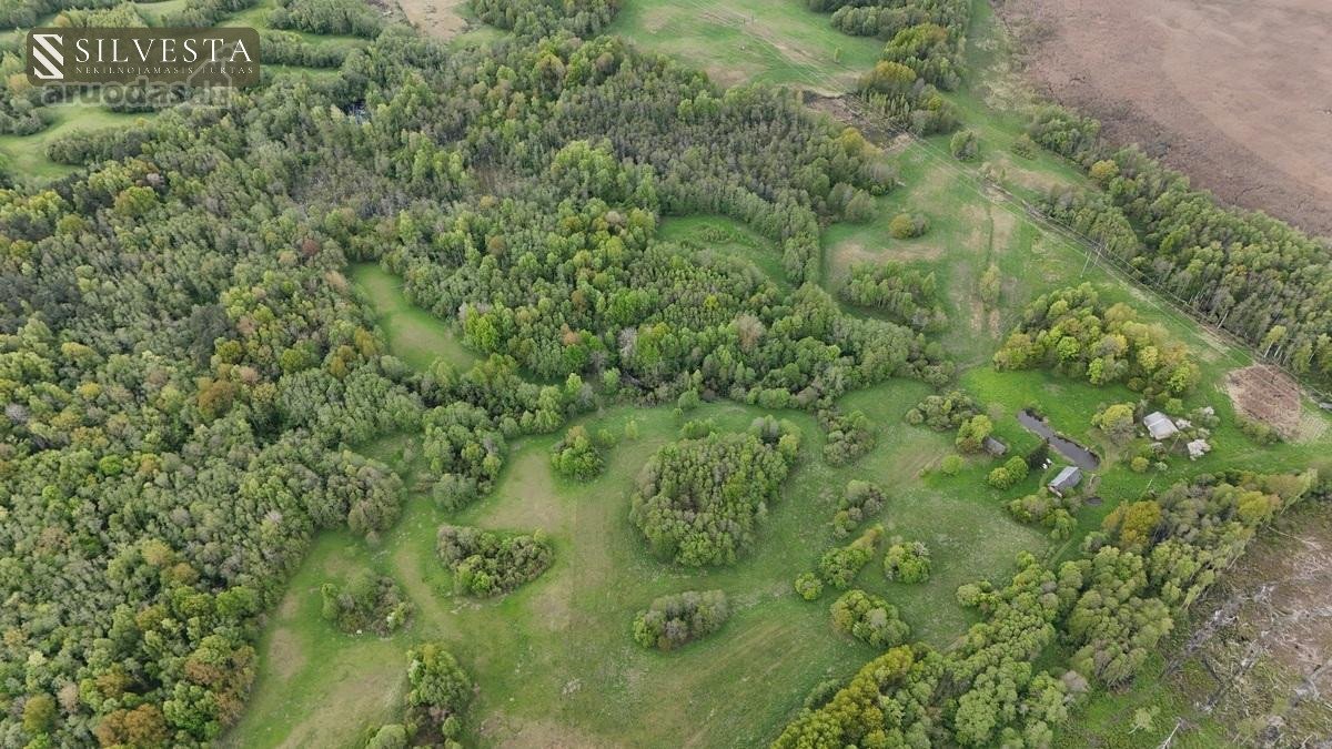 Parduodamas Sklypas 58 Ha Žemės Ir Tvenkiniu, - nuotraukos Nr. 9