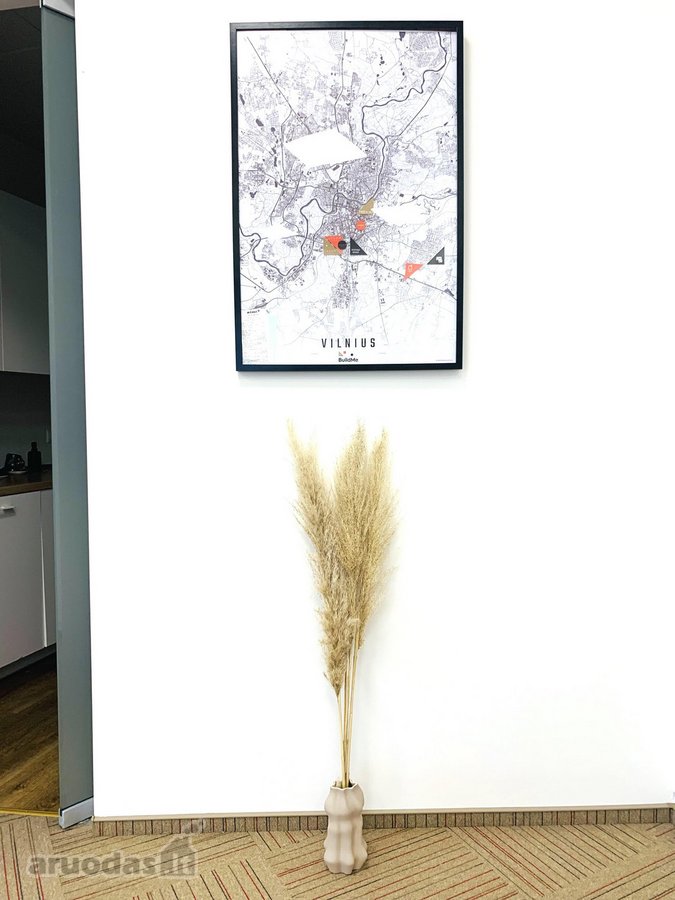 Nuomojamas modernus ir jaukus kabinetas Forum - nuotraukos Nr. 14