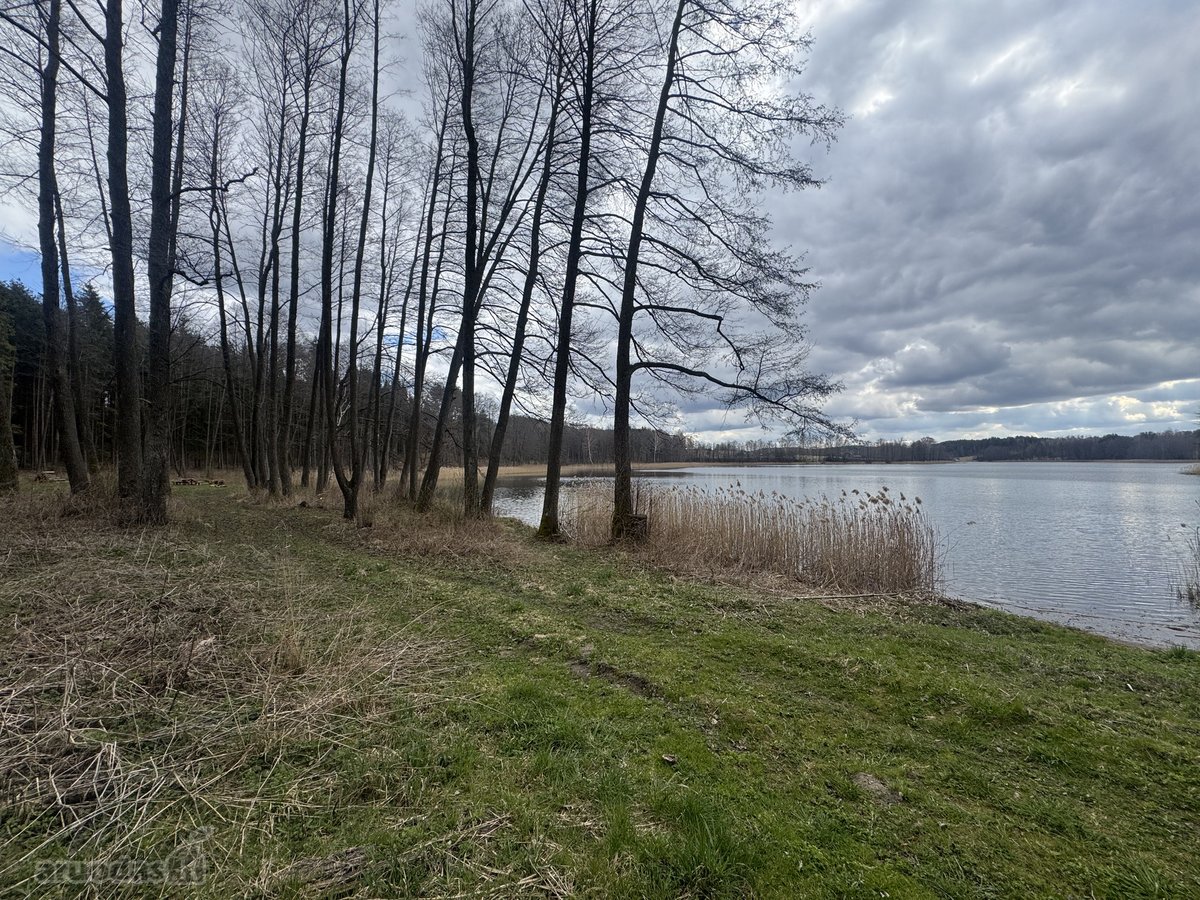 Parduodamas net 32,52 ha sklypas su Lizdų - nuotraukos Nr. 17