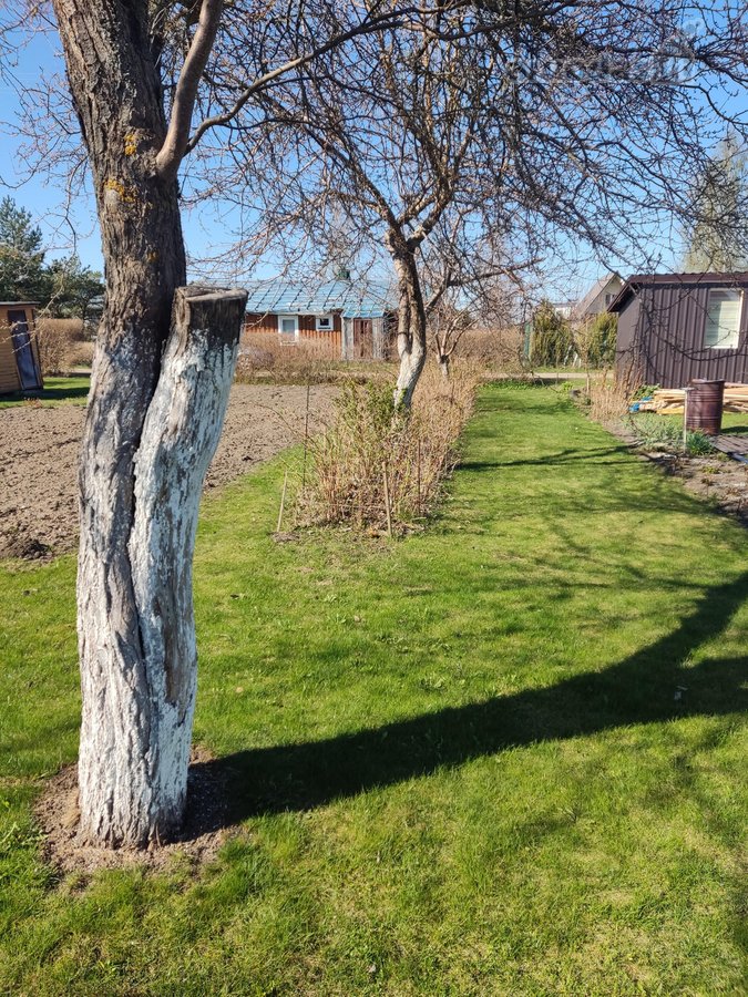 Parduodamas 6 arų sodo paskirties sklypas - nuotraukos Nr. 5