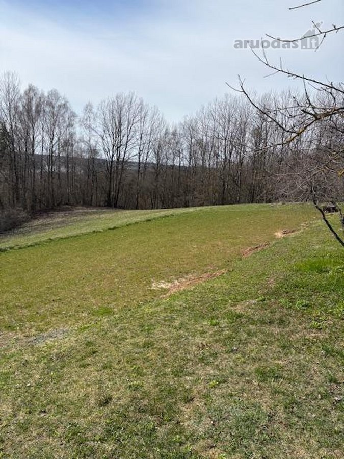 Parduodamas išskirtinis 69.51 arų namų valdos - nuotraukos Nr. 3