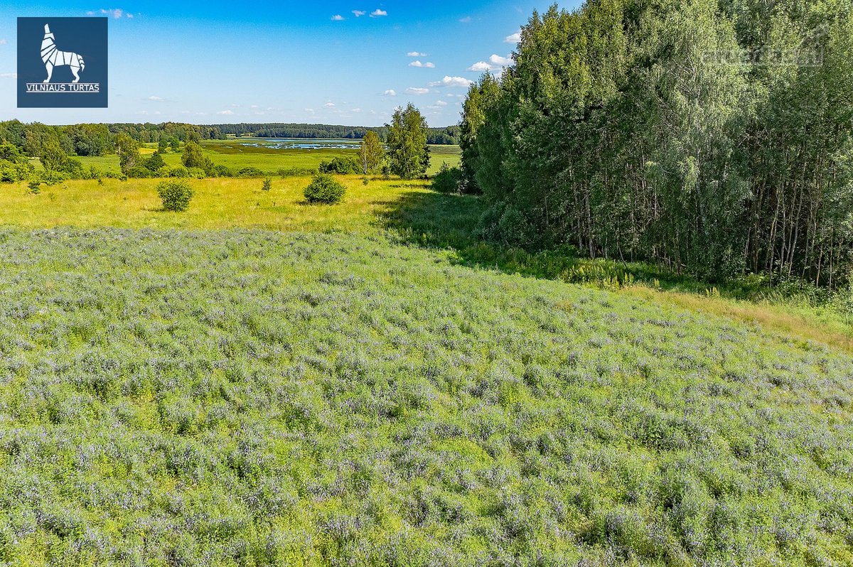 Norime jums pasiūlyti labai gražius sklypus - nuotraukos Nr. 8