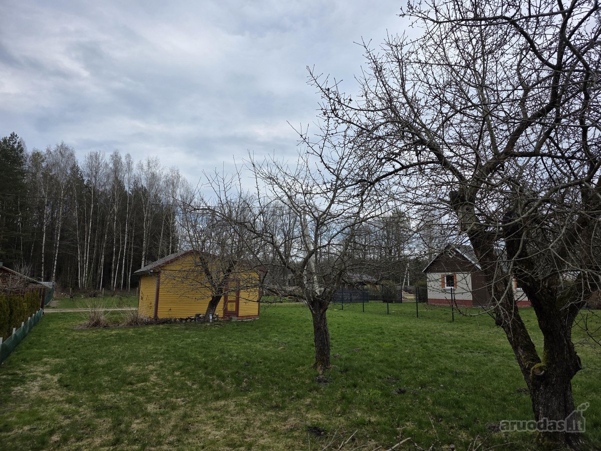 Papildomas tel nr  - nuotraukos Nr. 3
