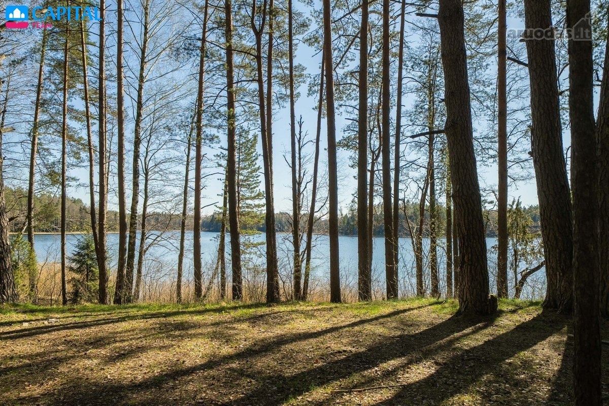 Privatus Miško Sklypas Prie Lakajos Su - nuotraukos Nr. 6