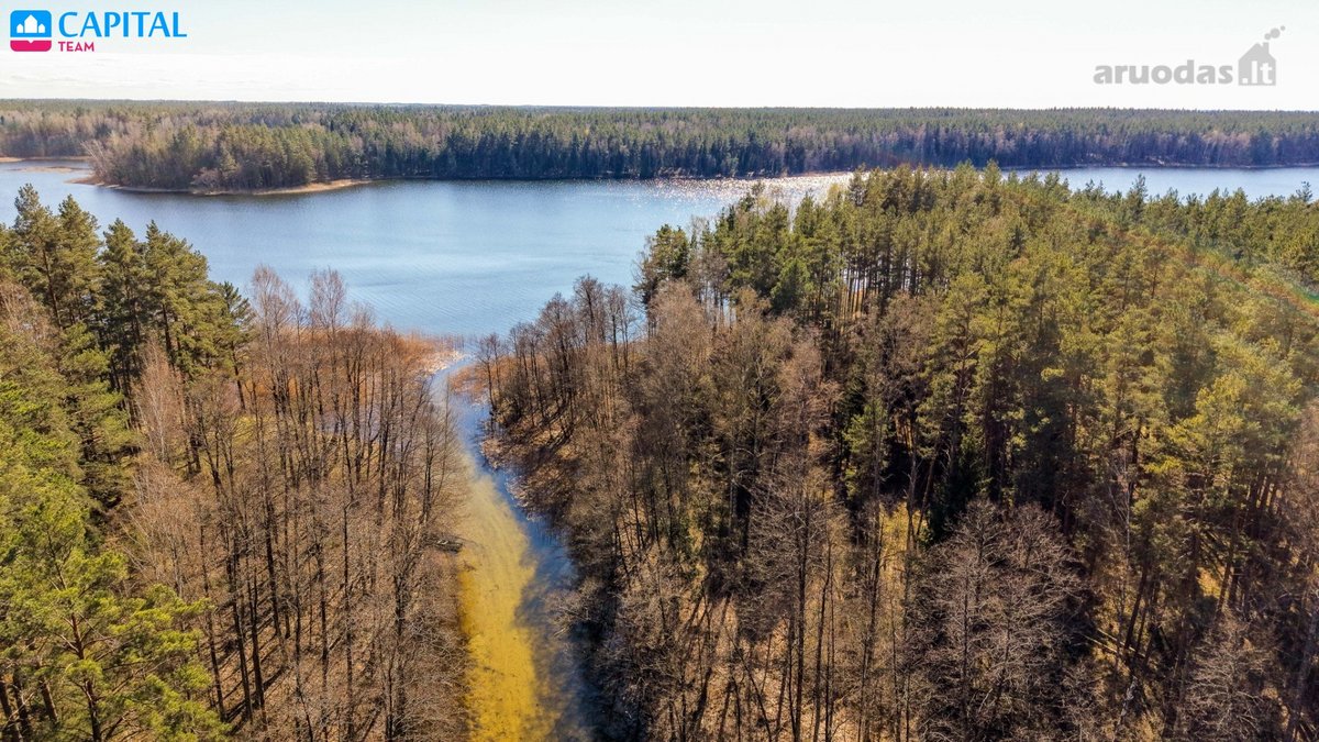 Privatus Miško Sklypas Prie Lakajos Su - nuotraukos Nr. 12