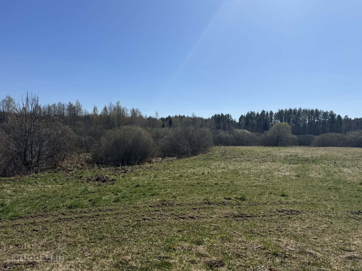 Parduodamas žemės ūkio paskirties sklypas - nuotraukos Nr. 6
