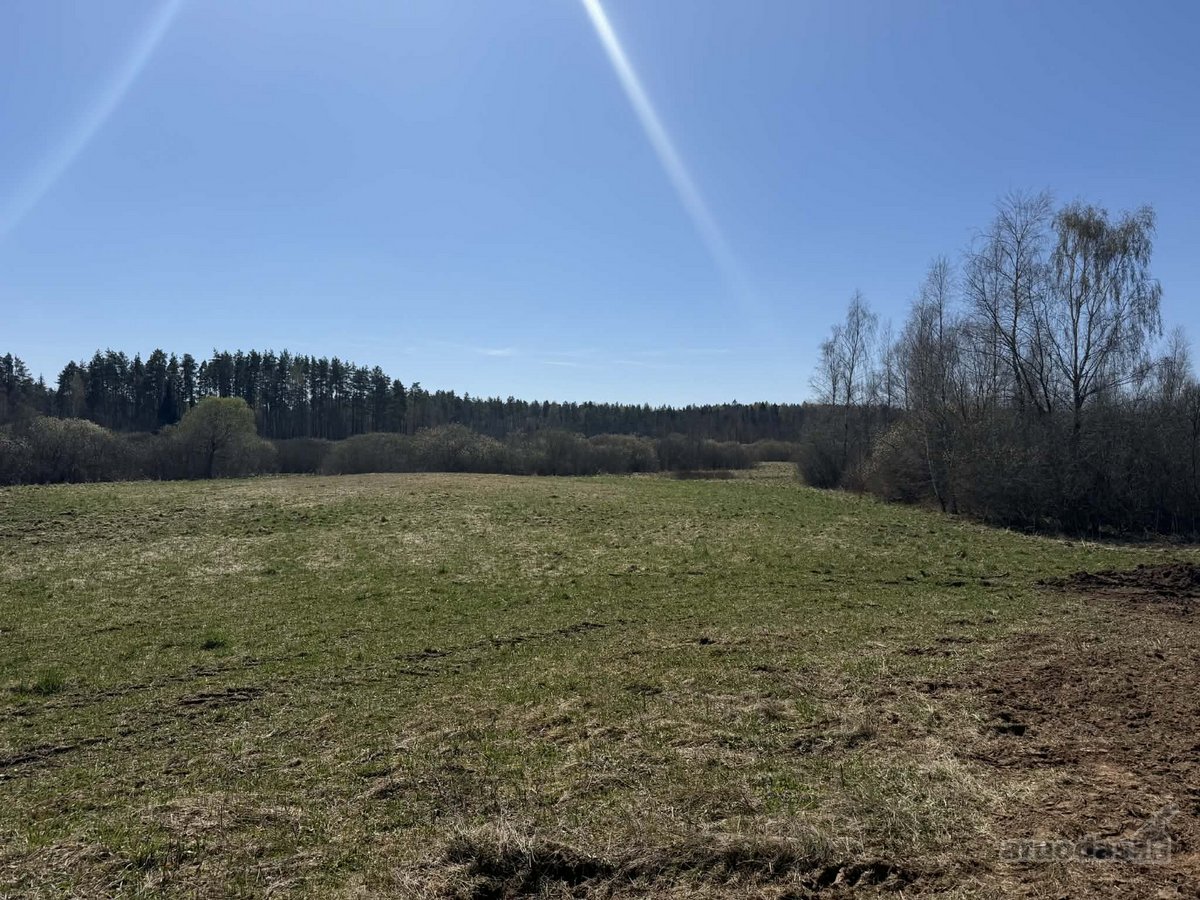 Parduodamas žemės ūkio paskirties sklypas - nuotraukos Nr. 5