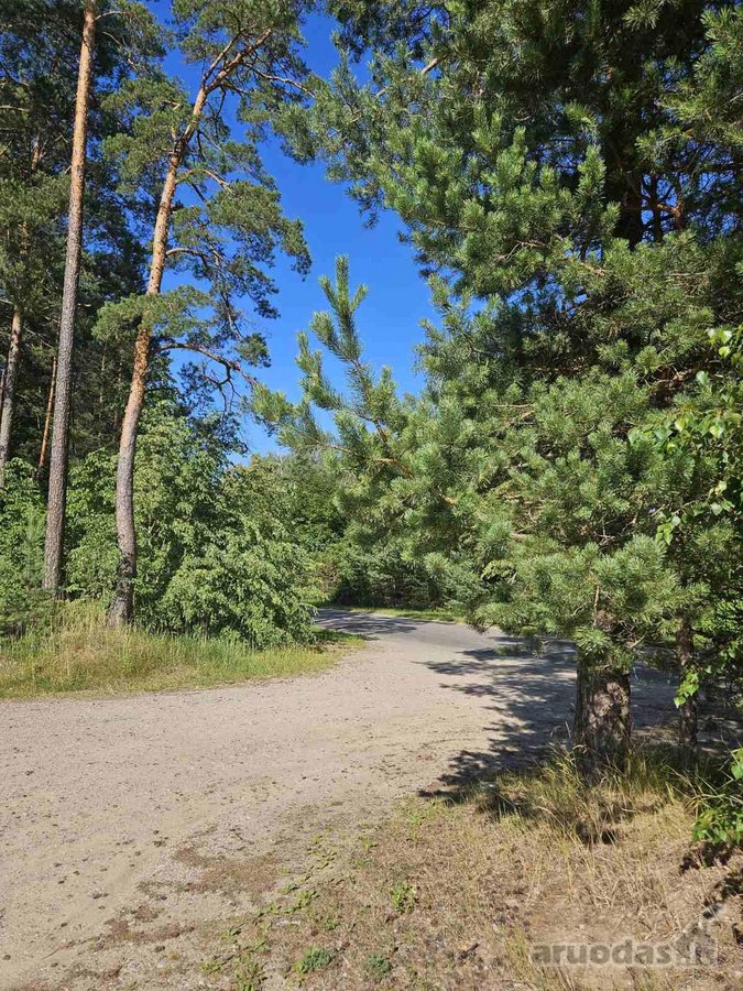 Parduodamas 4 ha., rekreacinės paskirties - nuotraukos Nr. 3