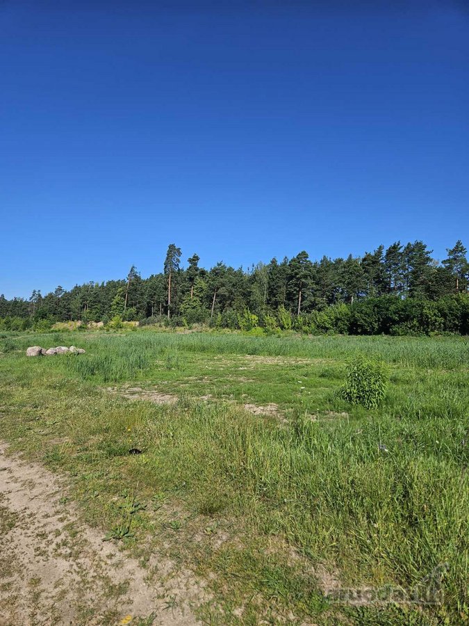 Parduodamas 4 ha., rekreacinės paskirties - nuotraukos Nr. 4