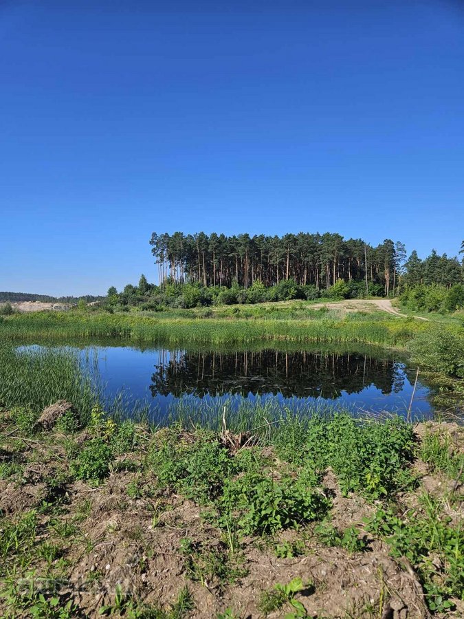 Parduodamas 4 ha., rekreacinės paskirties - nuotraukos Nr. 2
