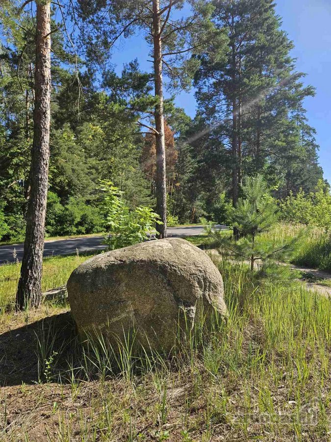 Parduodamas 4 ha., rekreacinės paskirties - nuotraukos Nr. 6
