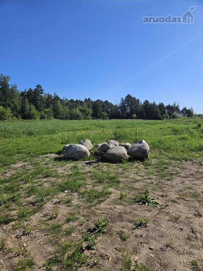 Parduodamas 4 ha., rekreacinės paskirties - nuotraukos Nr. 7