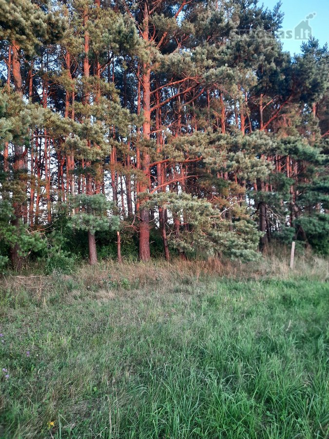Parduodami 49m2 pamatai su 5a sklypu bendrame