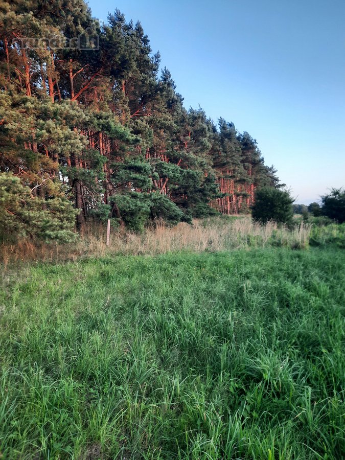 Parduodami 49m2 pamatai su 5a sklypu bendrame - nuotraukos Nr. 6