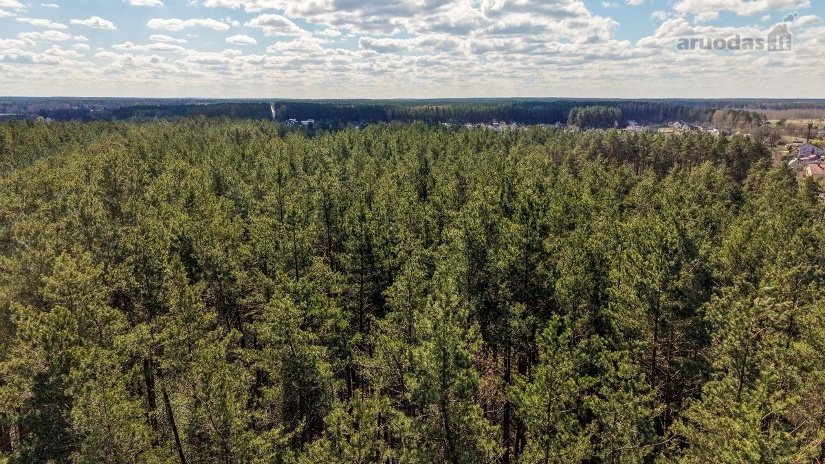 ? Namas su pirtimi + 0,647 ha sklypas –